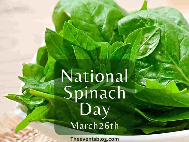 National Spinach Day March 26th The Events Blog