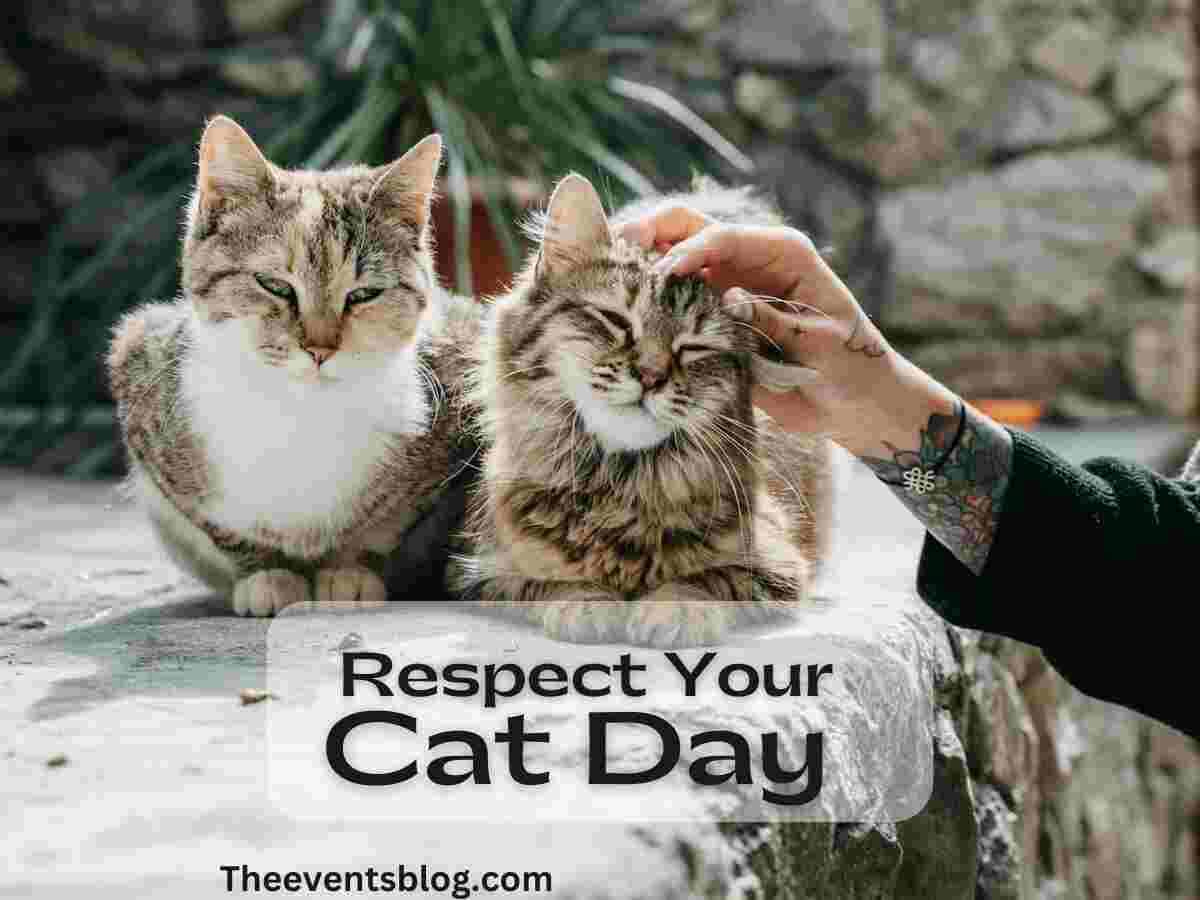 Respect Your Cat Day March 28th, 2024 The Events Blog